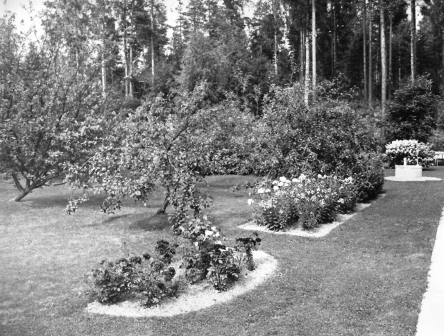 Mallipiha  1950-luvulla. Kuva ei liity  jutun aiheeseen.