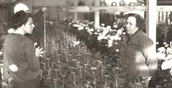 Leila ja Hilma Toivola kasvihuoneella Muuratsalossa