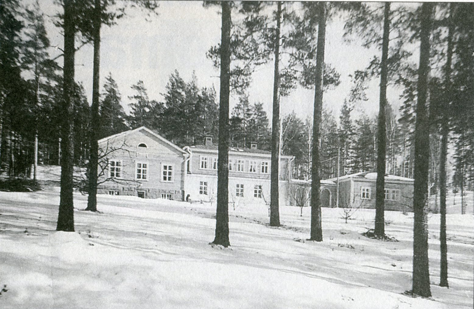 WPvkoti008